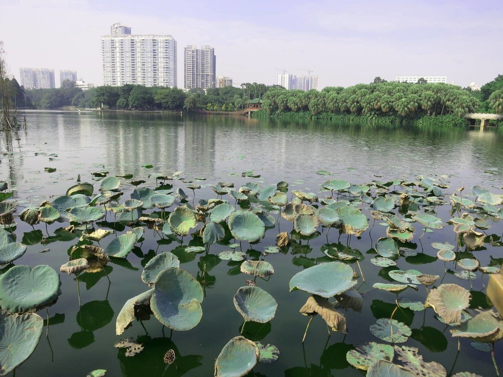  Guangzhou 