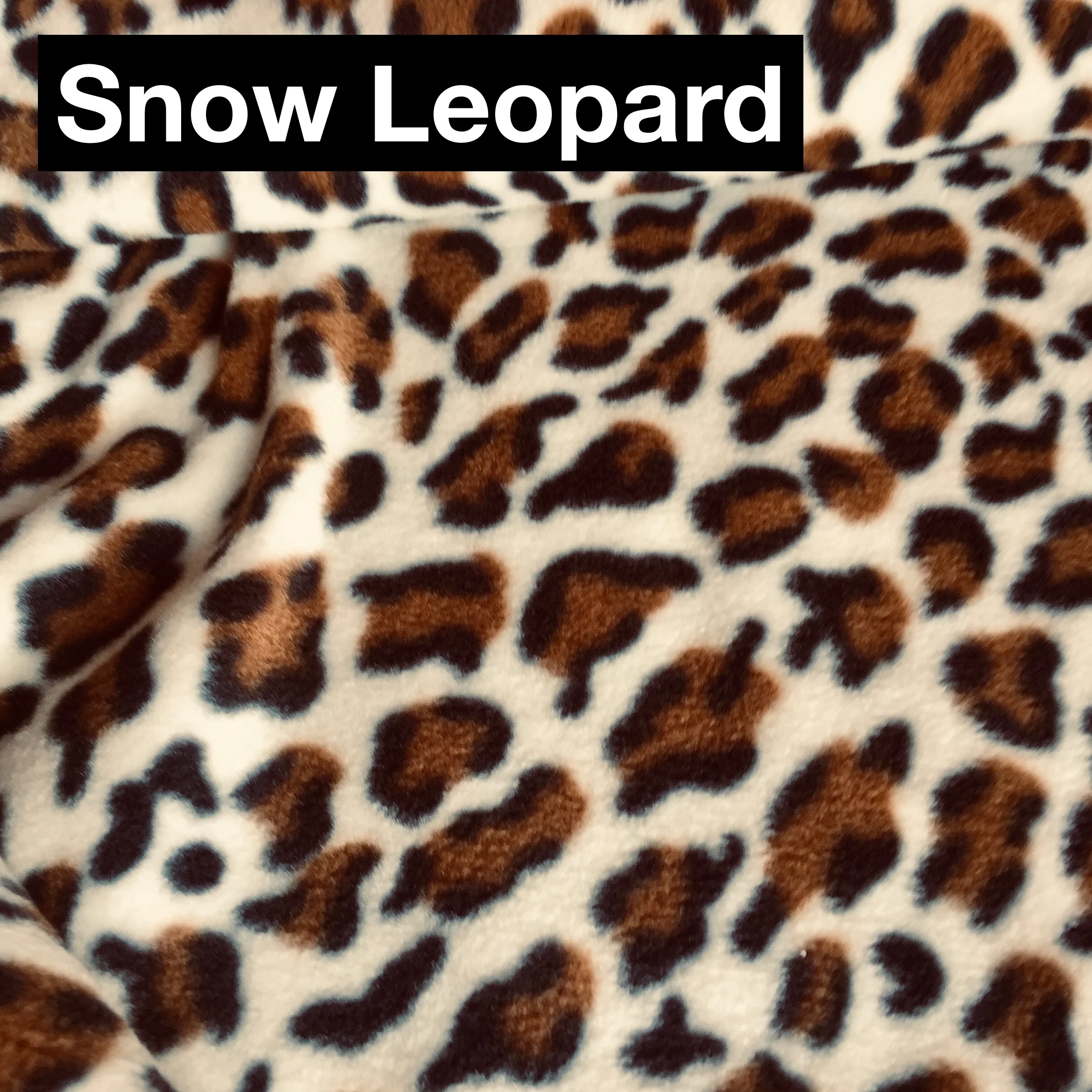 snow leopard.jpeg