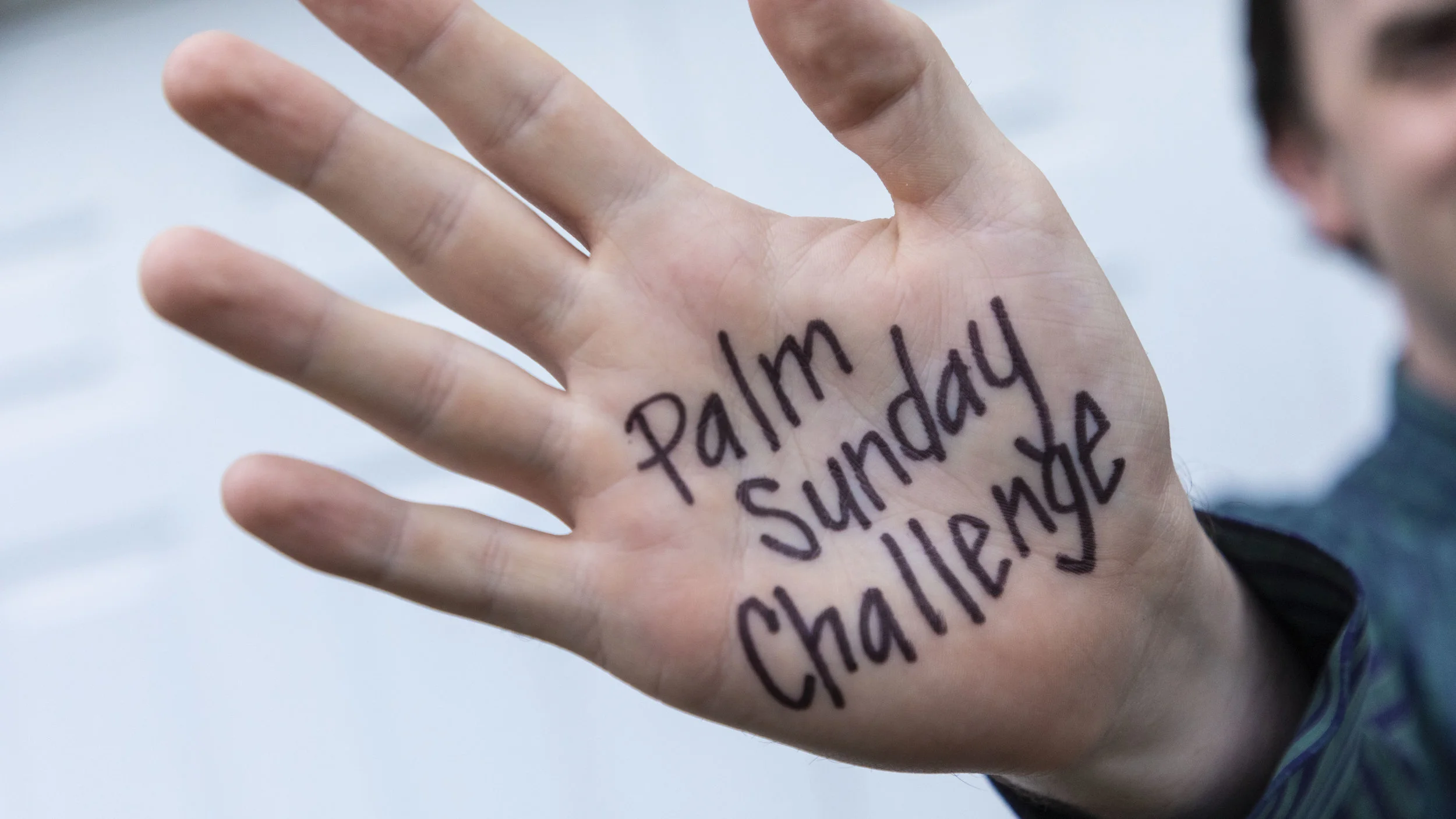 Palm Sunday Challenge.jpg