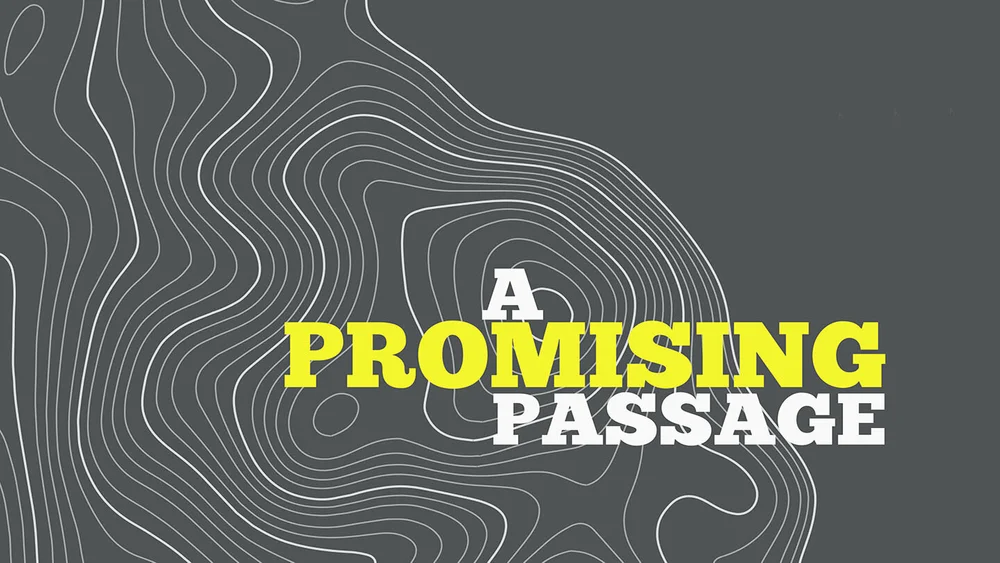 A promising passage logo.jpg
