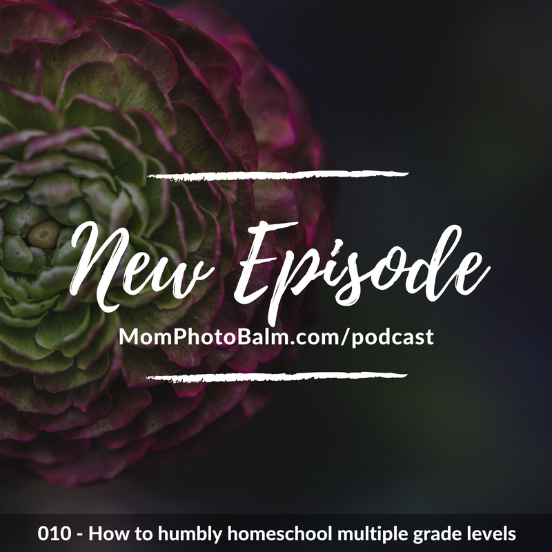 010 - How to humbly homeschool multiple grade levels