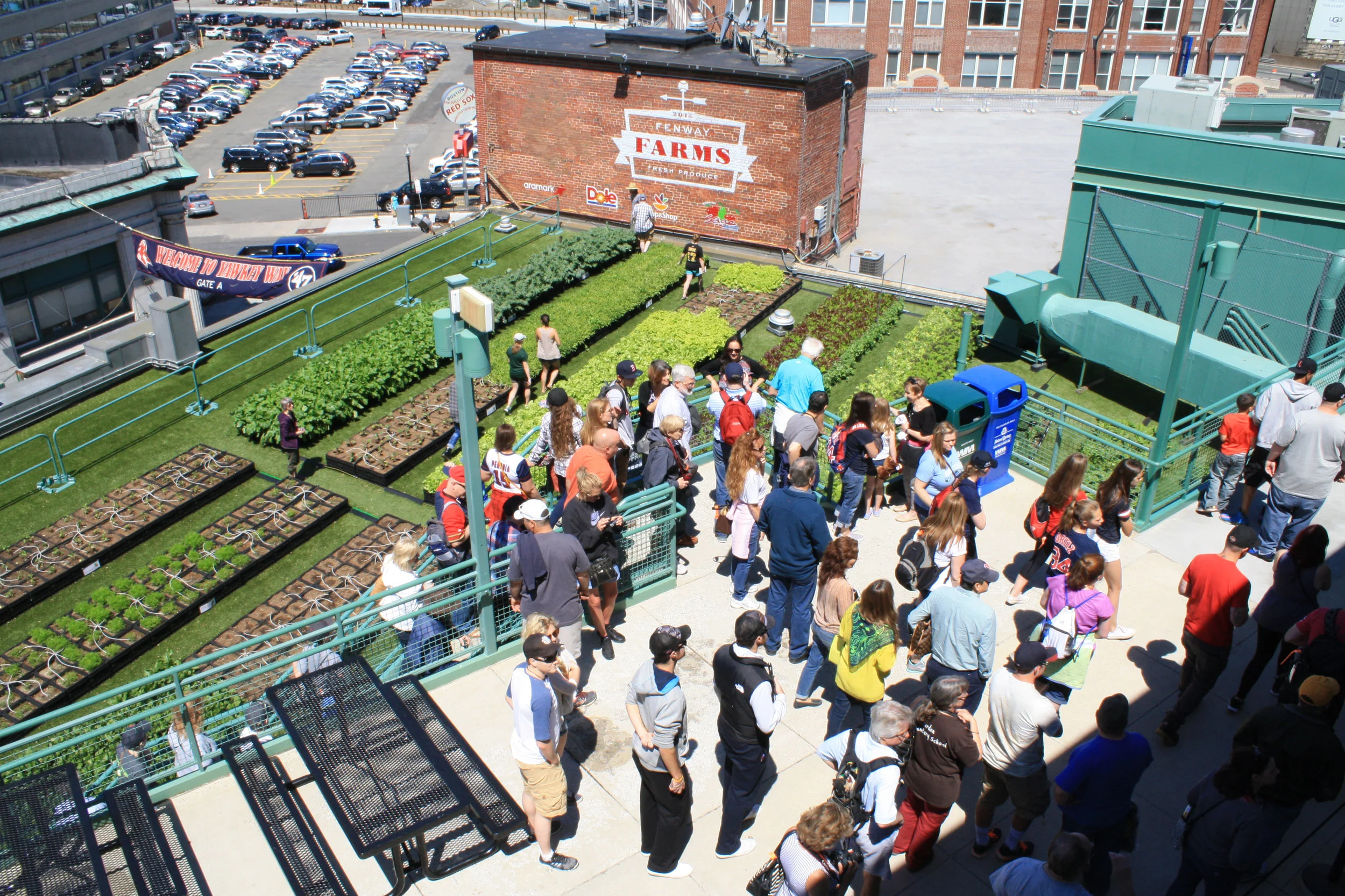 Fenway_Farms_By_Recover_4.jpg