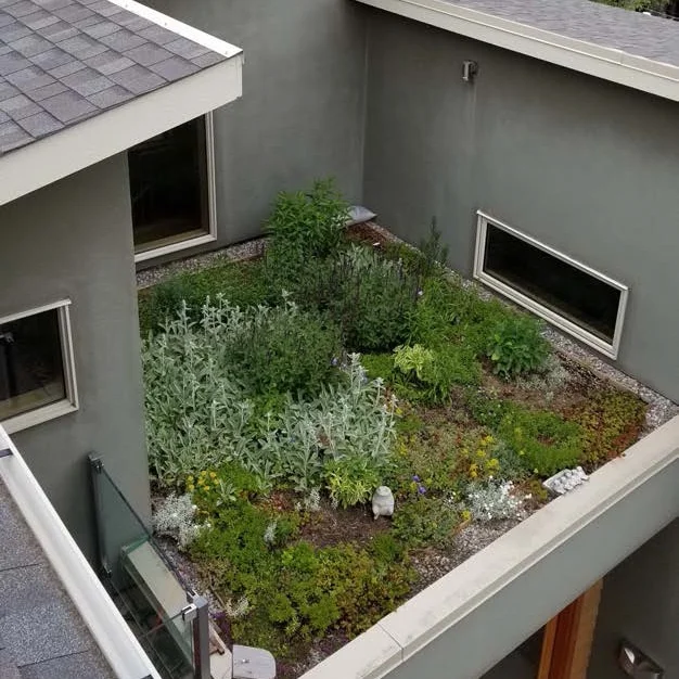 AltadoreEcoHouse-2-Credit_GreenTDesign.jpg