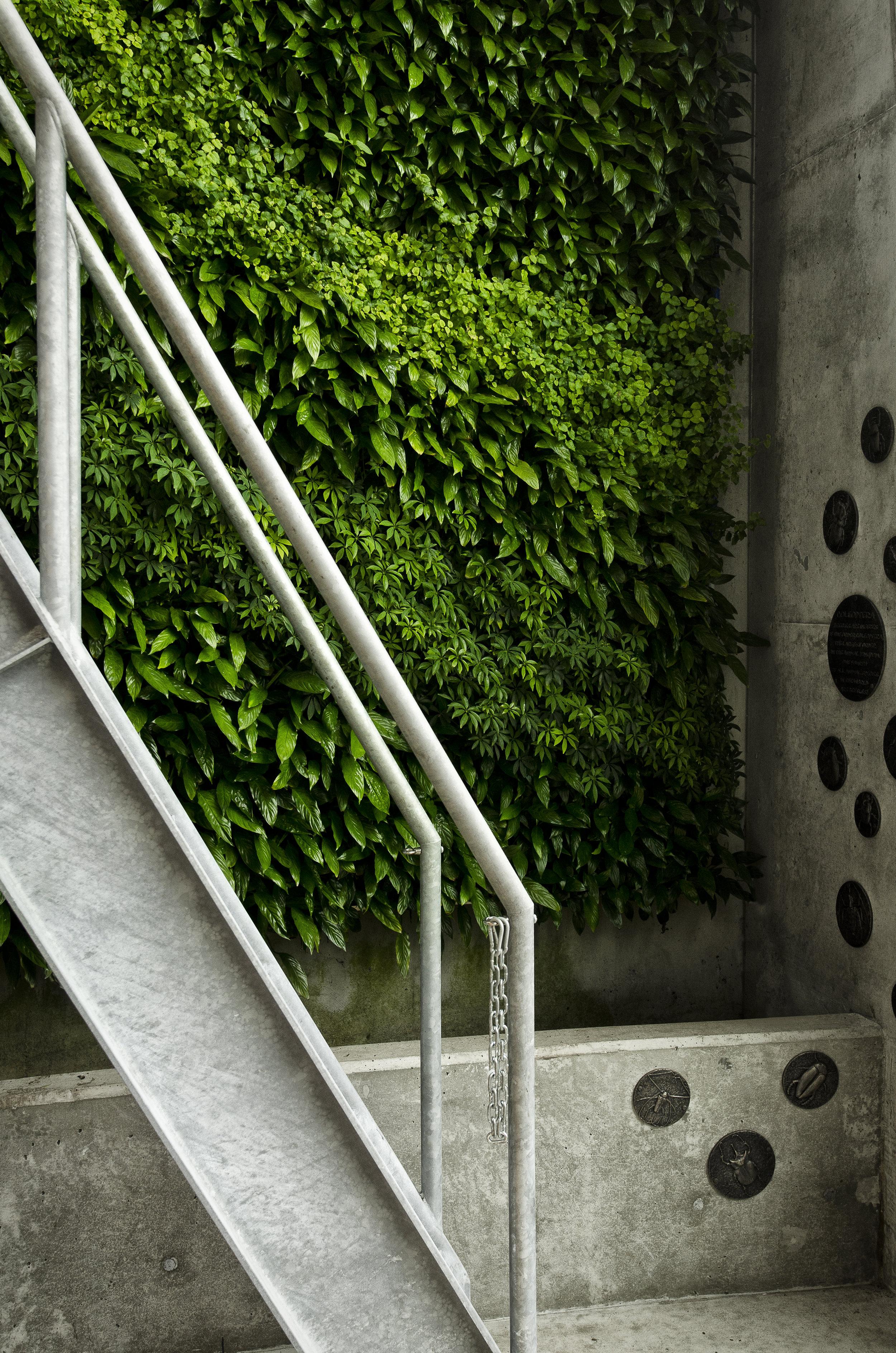 P20_Awards_Design_InteriorGreenWall-Bertschi1_Credit-GGLO.jpg