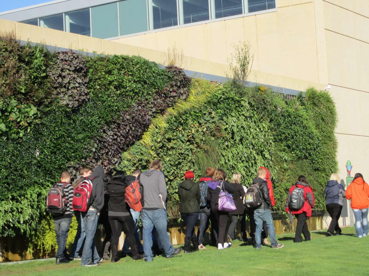 P13_Awards_Design_ExteriorGreenWall_NovaScotiaCommunityCollegeLivingWall-Credit_Outside!Planning&Design.jpg