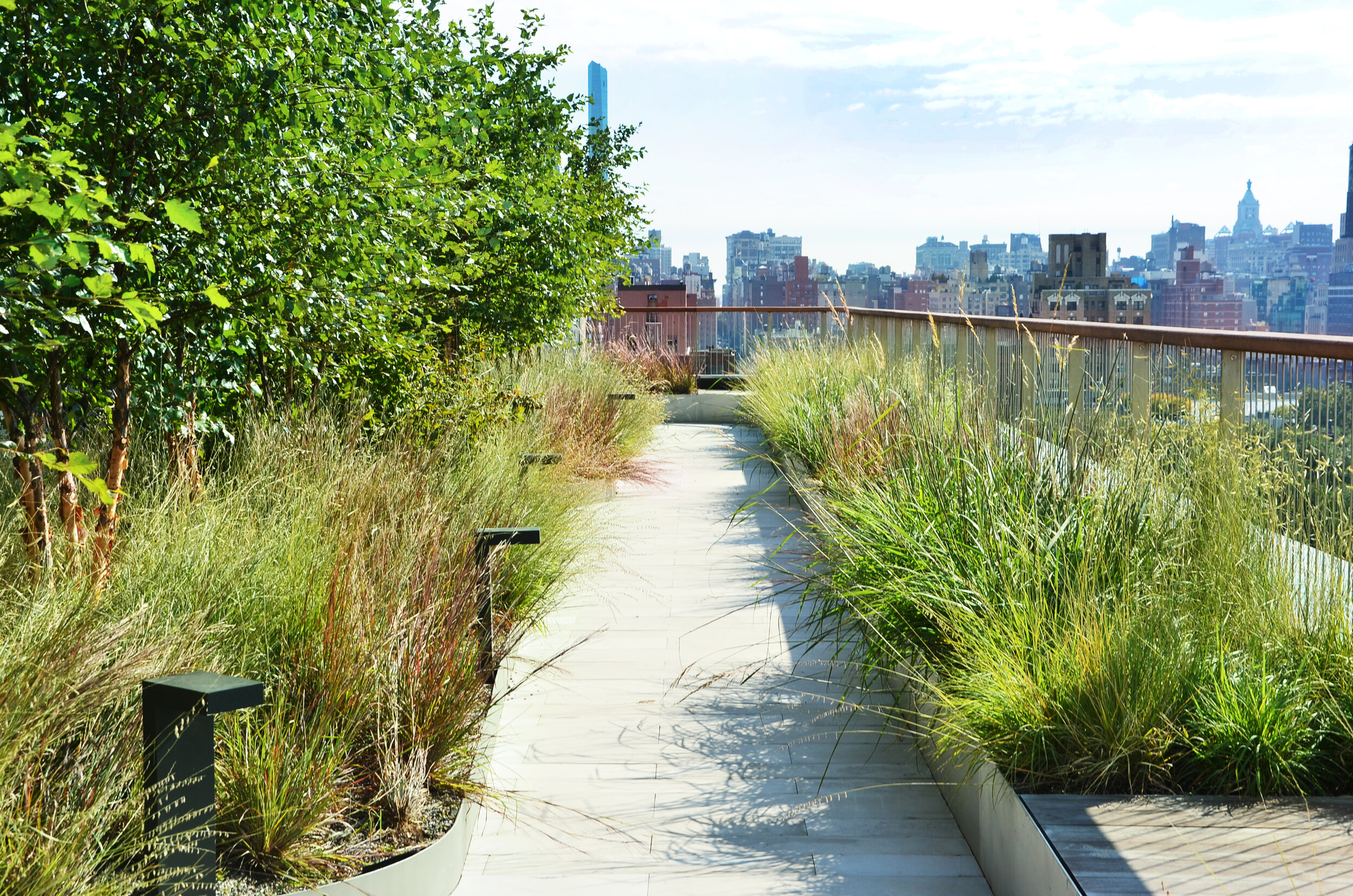 Eye Level View_Path and Lush Planting_11th Floor.jpg