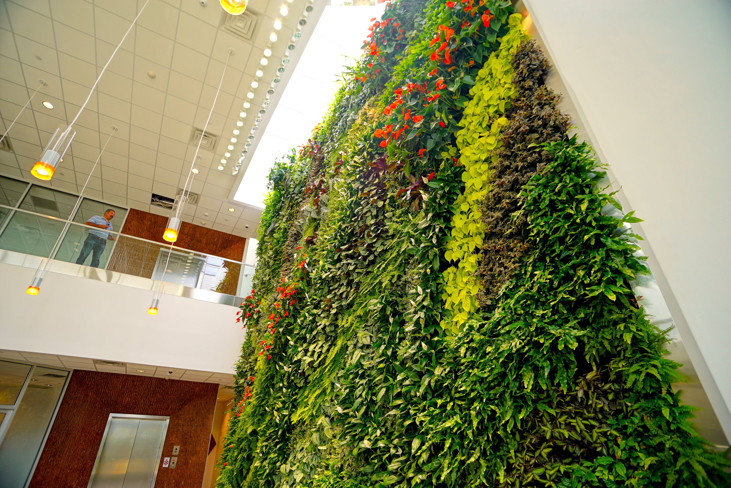 urbanstrong_IFF lobby wall_view from below.JPG