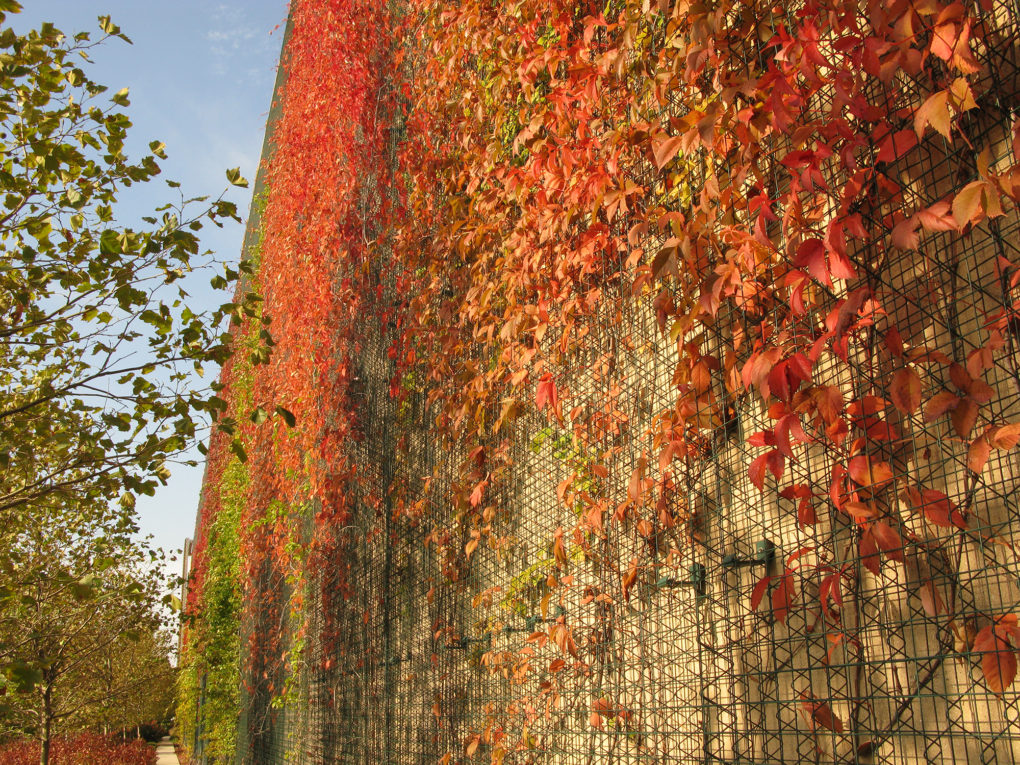Introduction to Green Walls: Systems, Design, and Approach $125