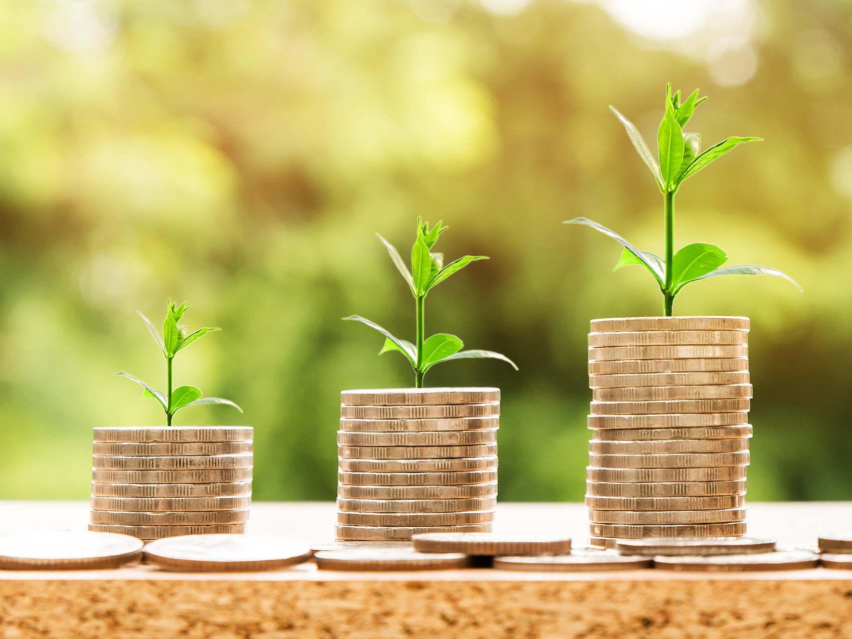 Financing Green Roofs and Green Walls With PACE $40