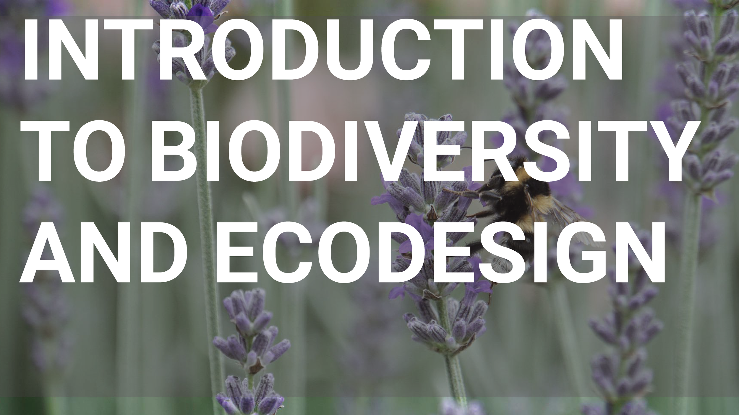 Biodiversity-Ecodesign_Thumbnail.png