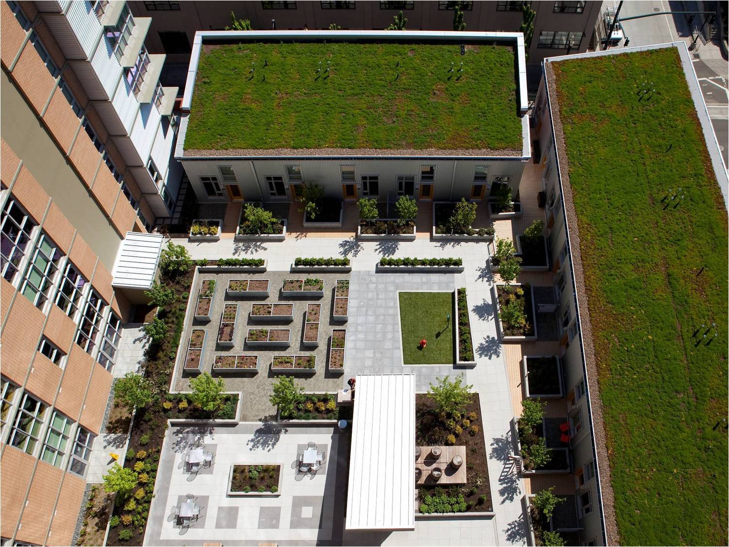 ASA Flat + Lofts Green Roof, Credit GGLO