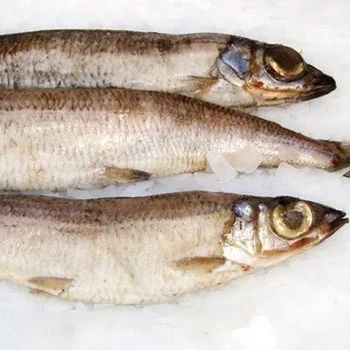 silver_smelt.jpg