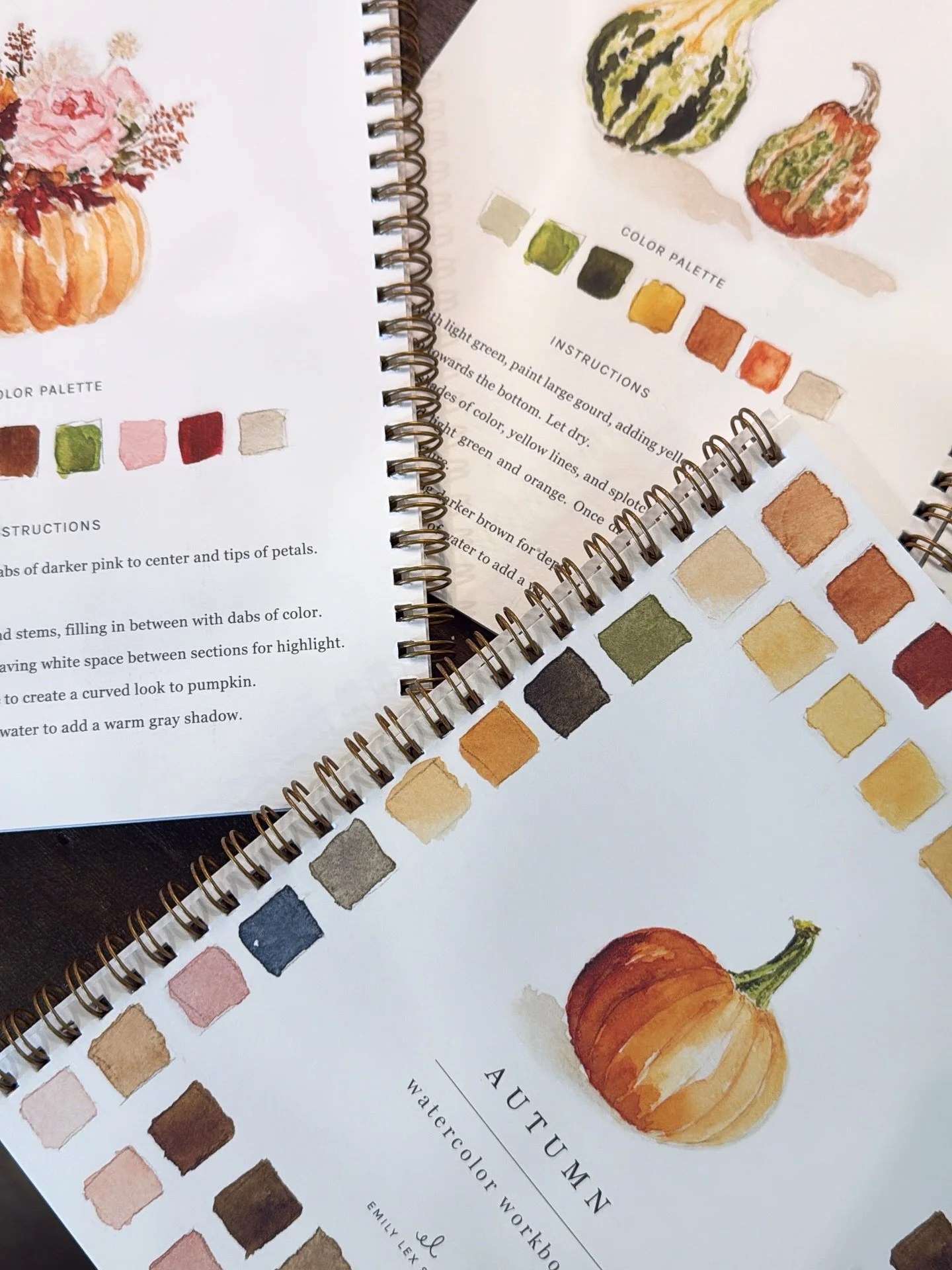 We only have a few left of the &ldquo;Autumn&rdquo; edition of @emilylexstudio &lsquo;s watercolor workbook collection. Come grab yours in-store today!