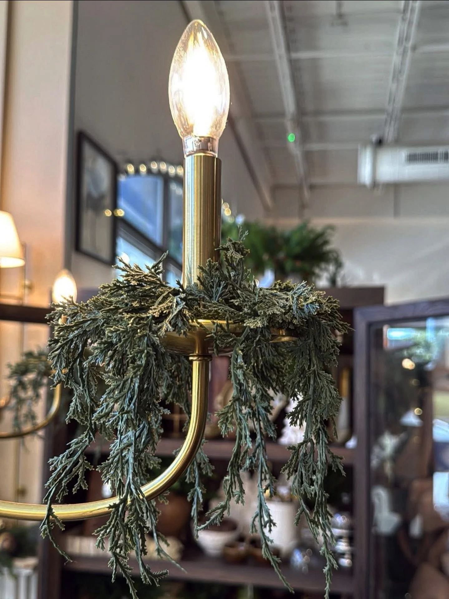 This tiny greenery ring... who would&rsquo;ve thought it would take our little business to places we&rsquo;ve only dreamed of?
Just this week alone, we&rsquo;ve shipped to:
&bull; South Carolina
&bull; Georgia 
&bull; Illinois
&bull; Wisconsin 
&bull