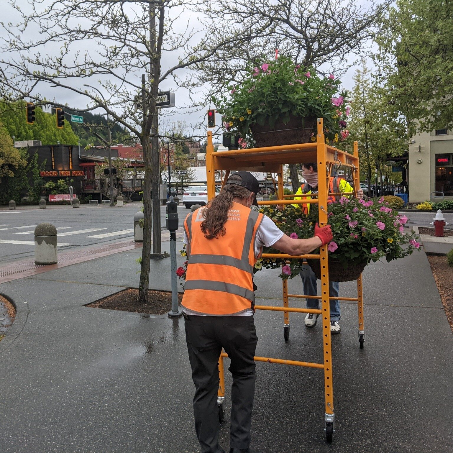 These glorious spring days are making us dream of flower baskets! 🌸💐

Our landscaping team installs 40+ flower baskets throughout Downtown Bellingham in May and they stay up through Fall. The baskets are ordered through the locally owned Green Frog