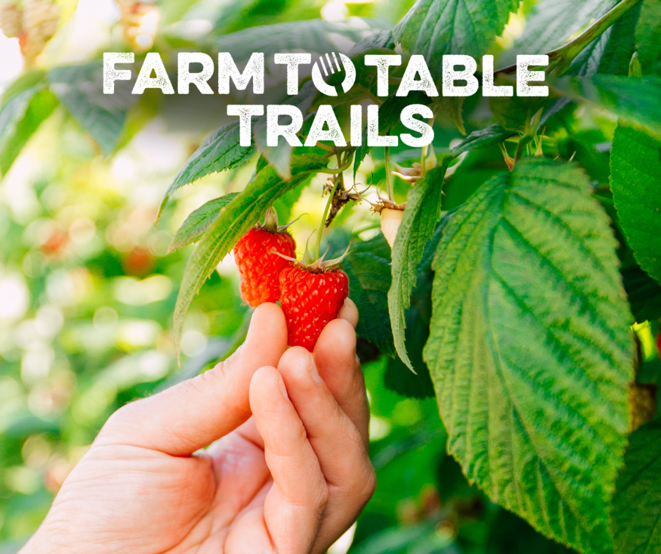 Experience the Food and Farming Culture of Northwest Washington on the Farm to Table Trails 
