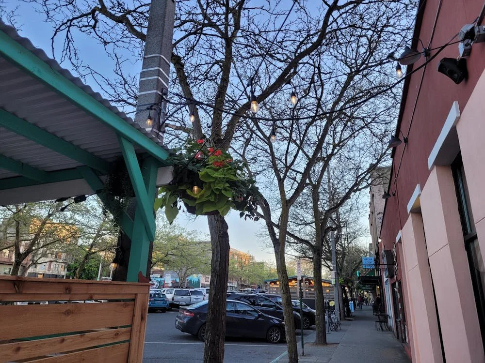 Flower baskets blooming in downtown Bellingham