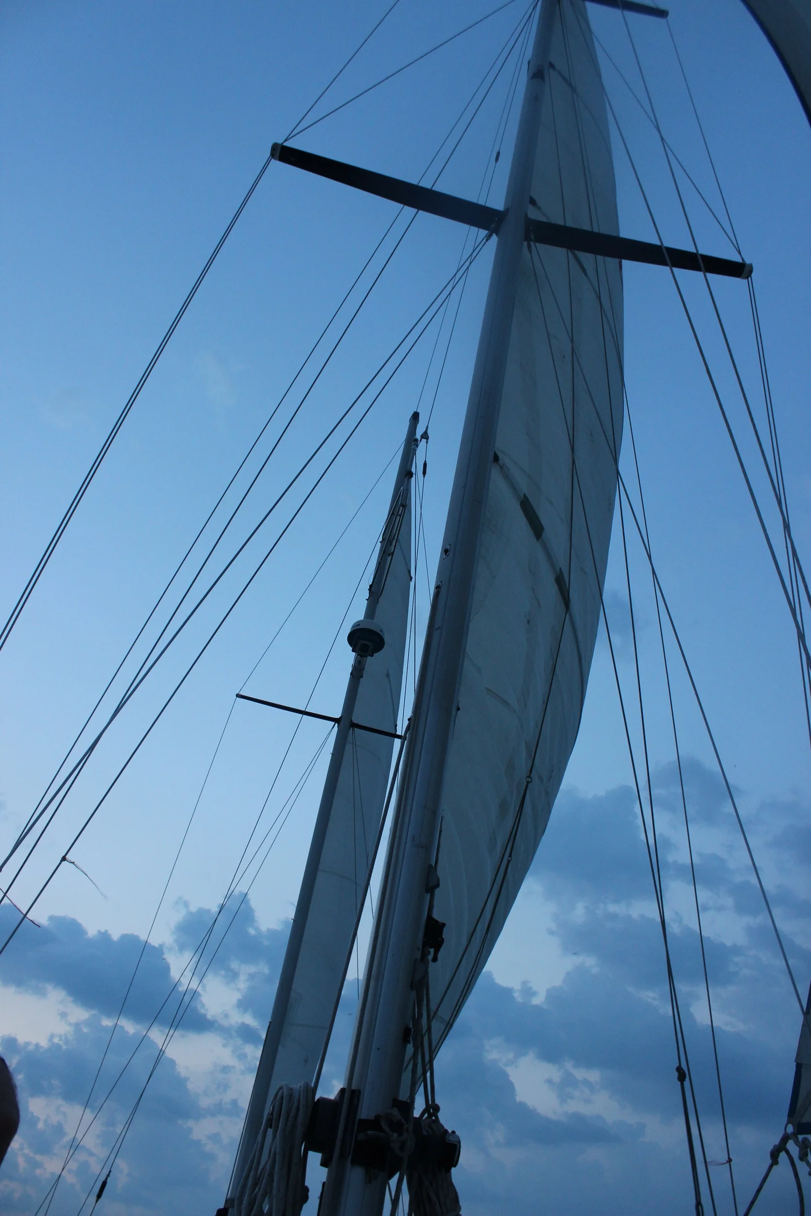 Sails.jpg
