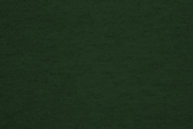 forestgreen.jpg