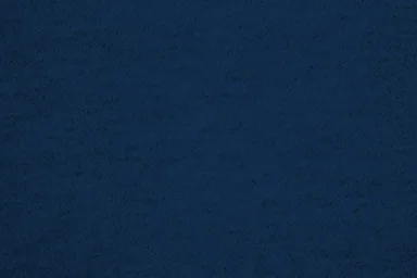 navy.jpg