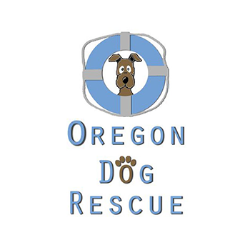 odr-logo.png