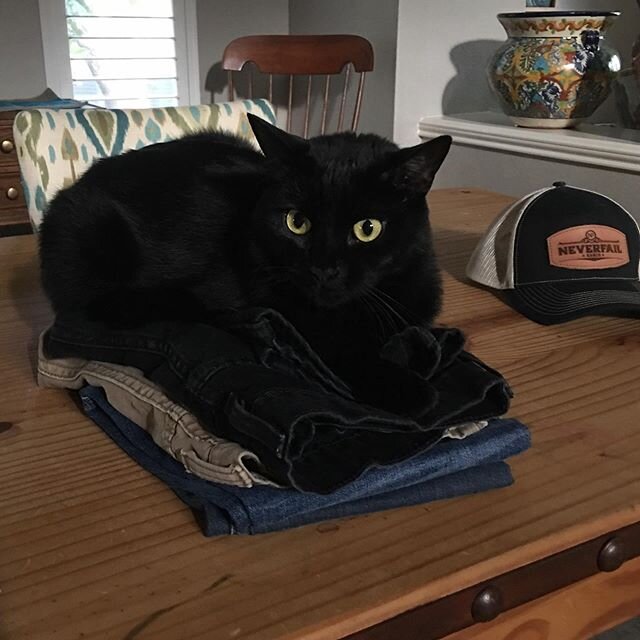 This is why we wear a lot of black. #catlife