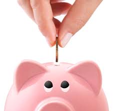 Piggy Bank 2.jpeg