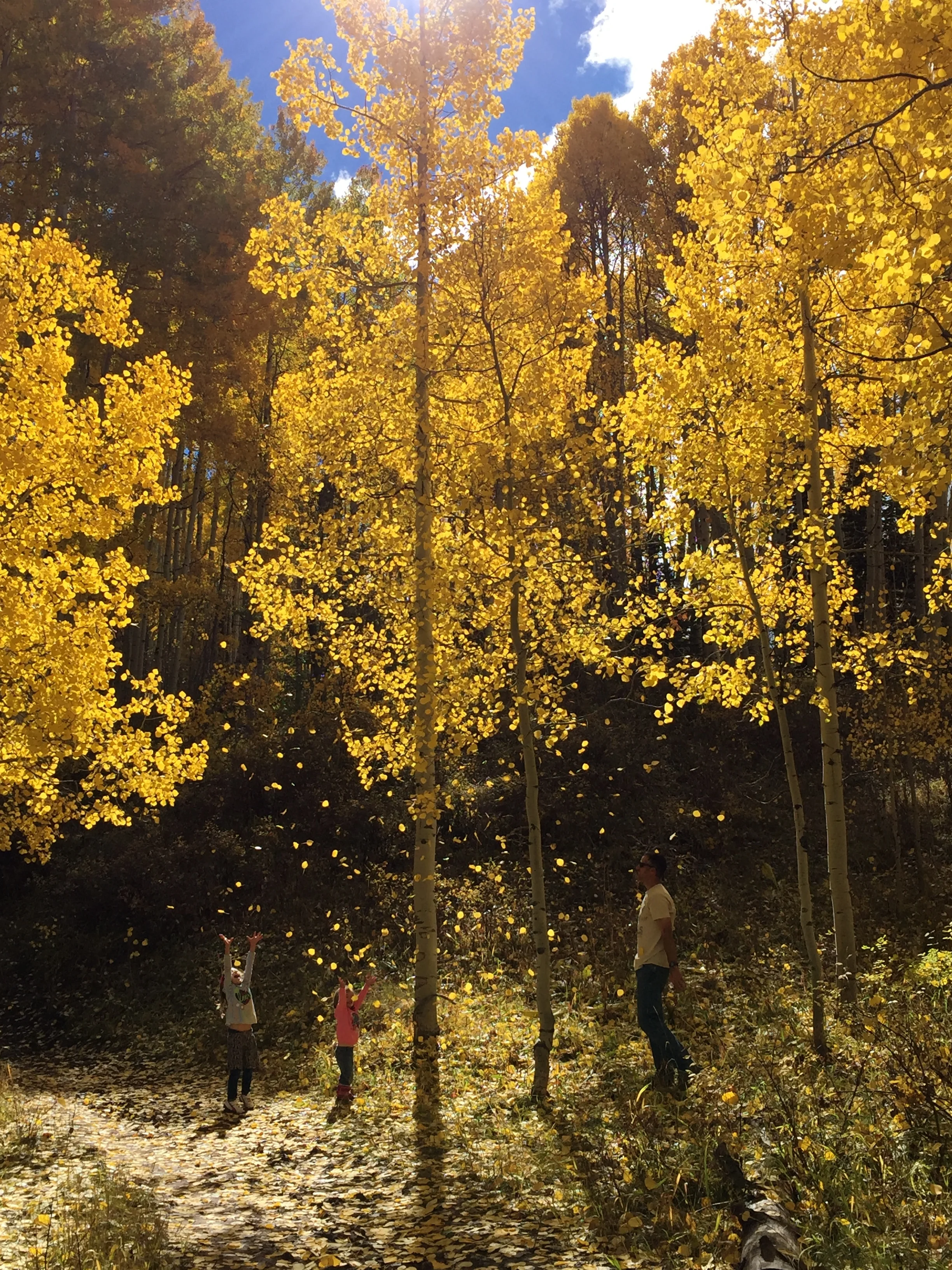 What's in Your Mug: Ragged Mountain Blend