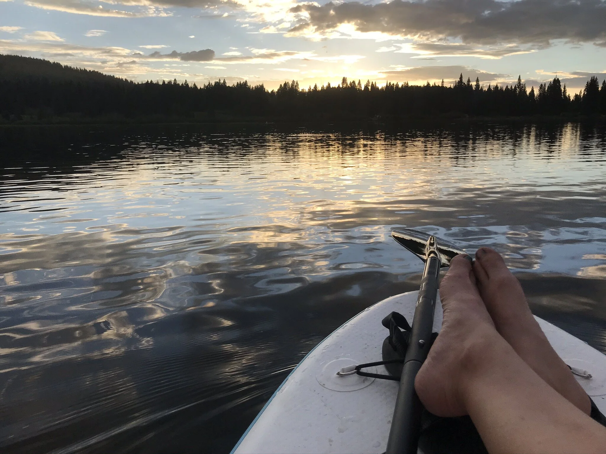 Summer: Nature, Infusions &amp; Gratitude