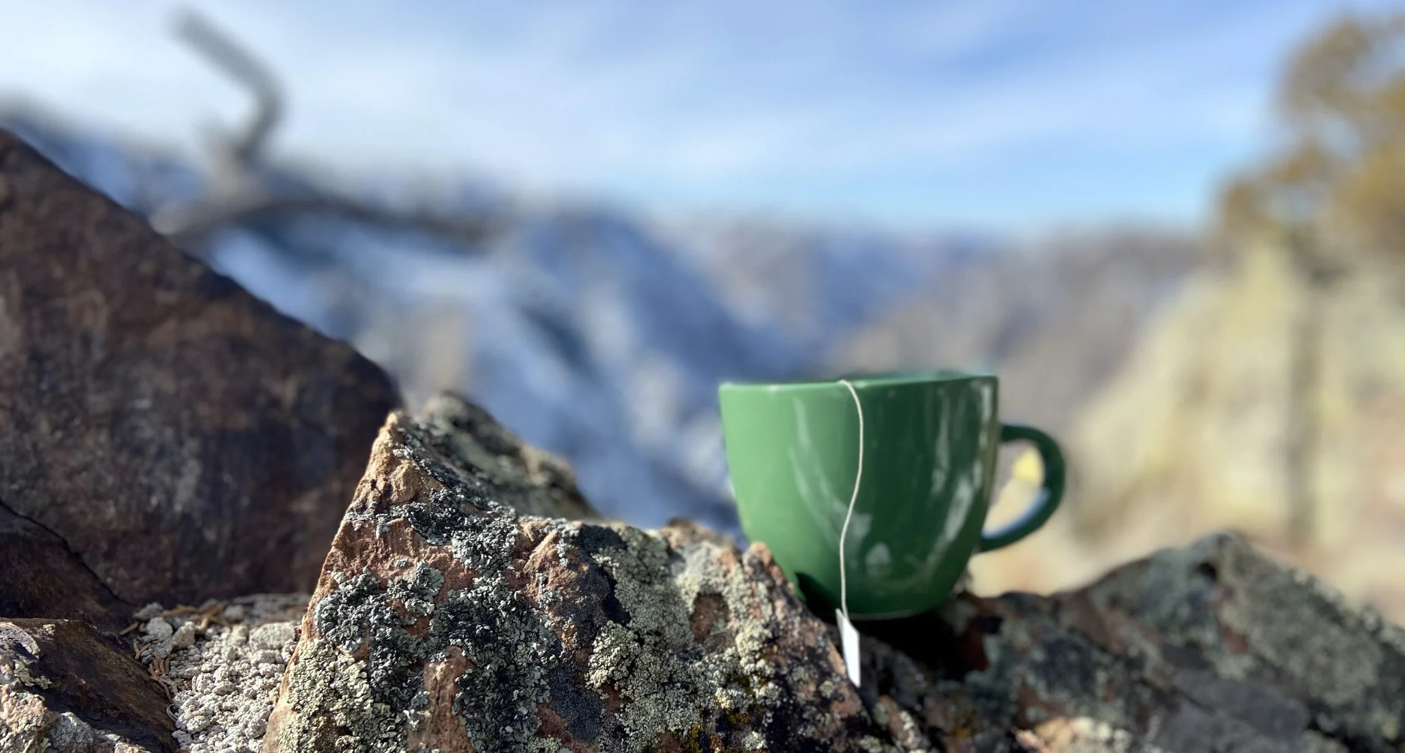 Taking Time to Pause &amp; Listen: Sharing the Sounds of an Herbal Tea Farm