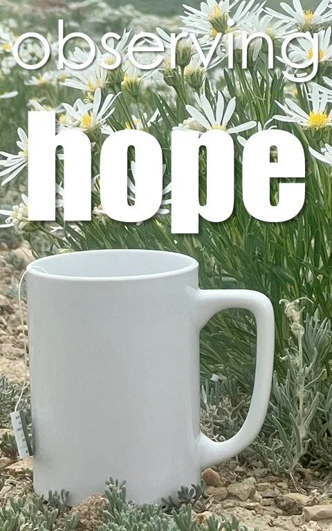 Observing Hope