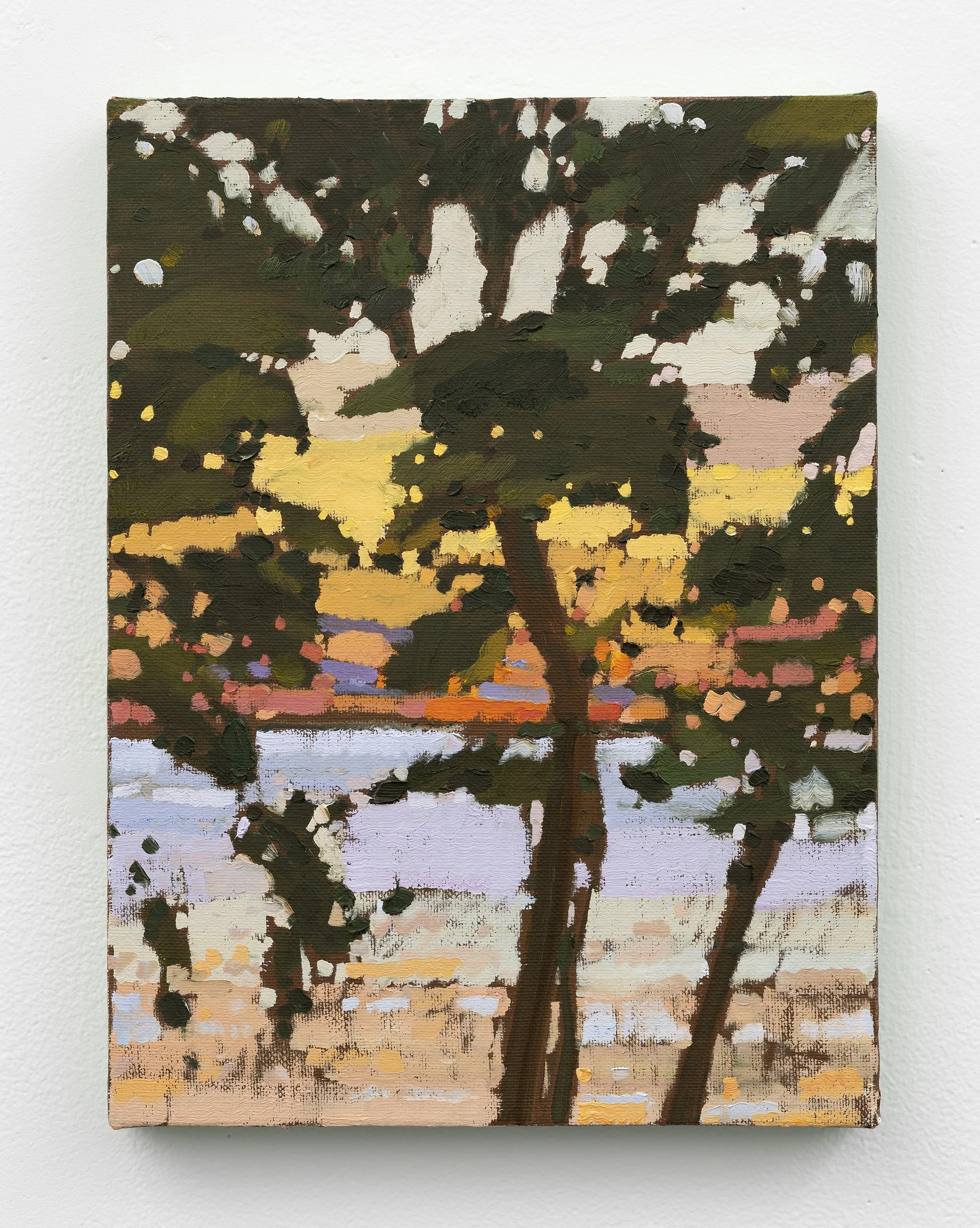 Sunset Through the Trees