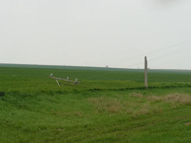p1000152