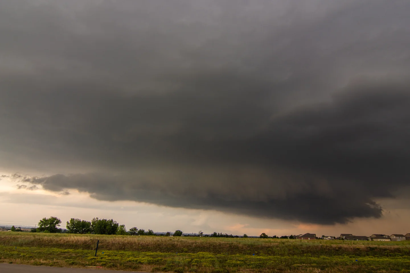 DSC_0775.jpg