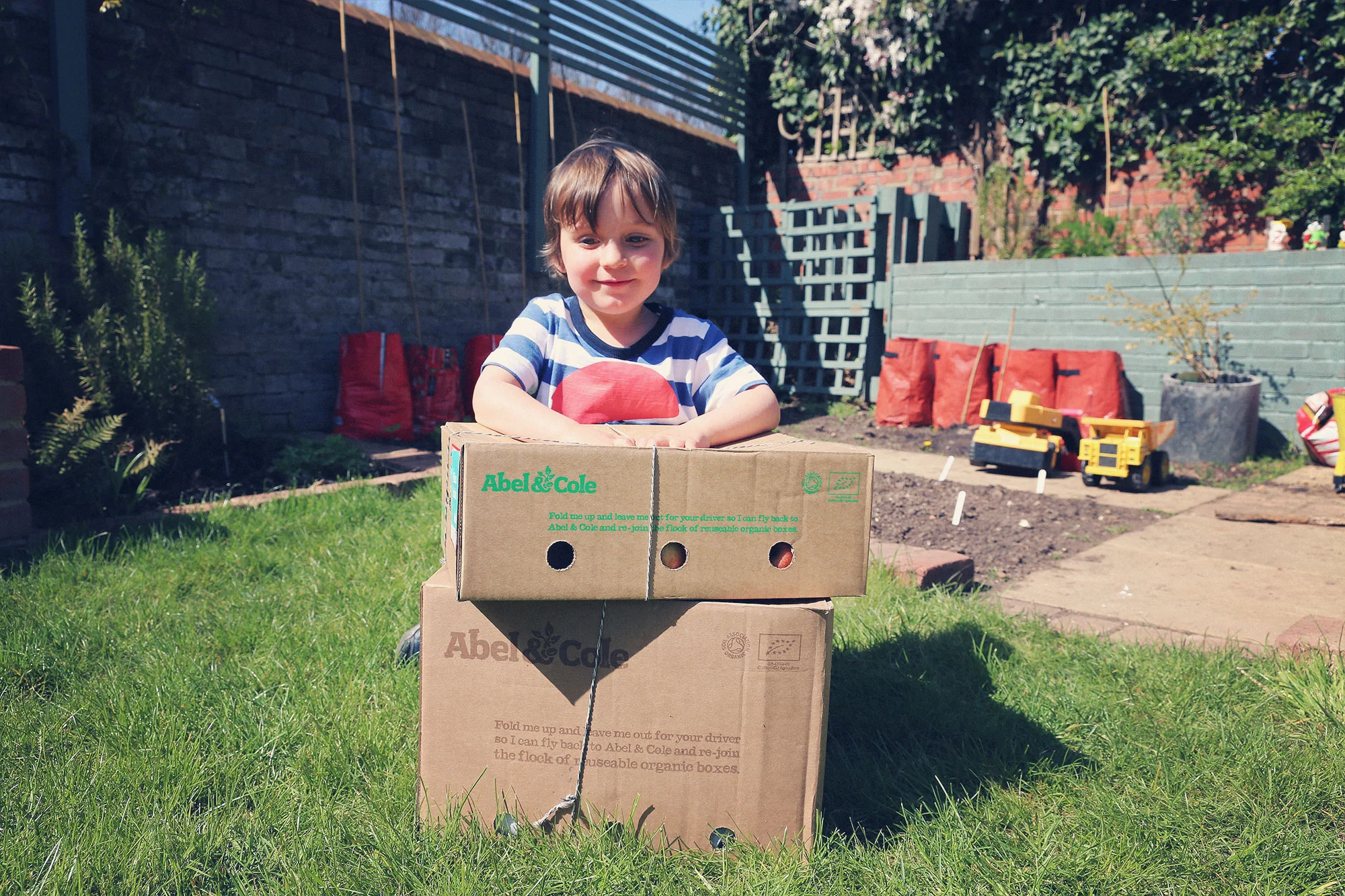the-veg-box-baby.jpg