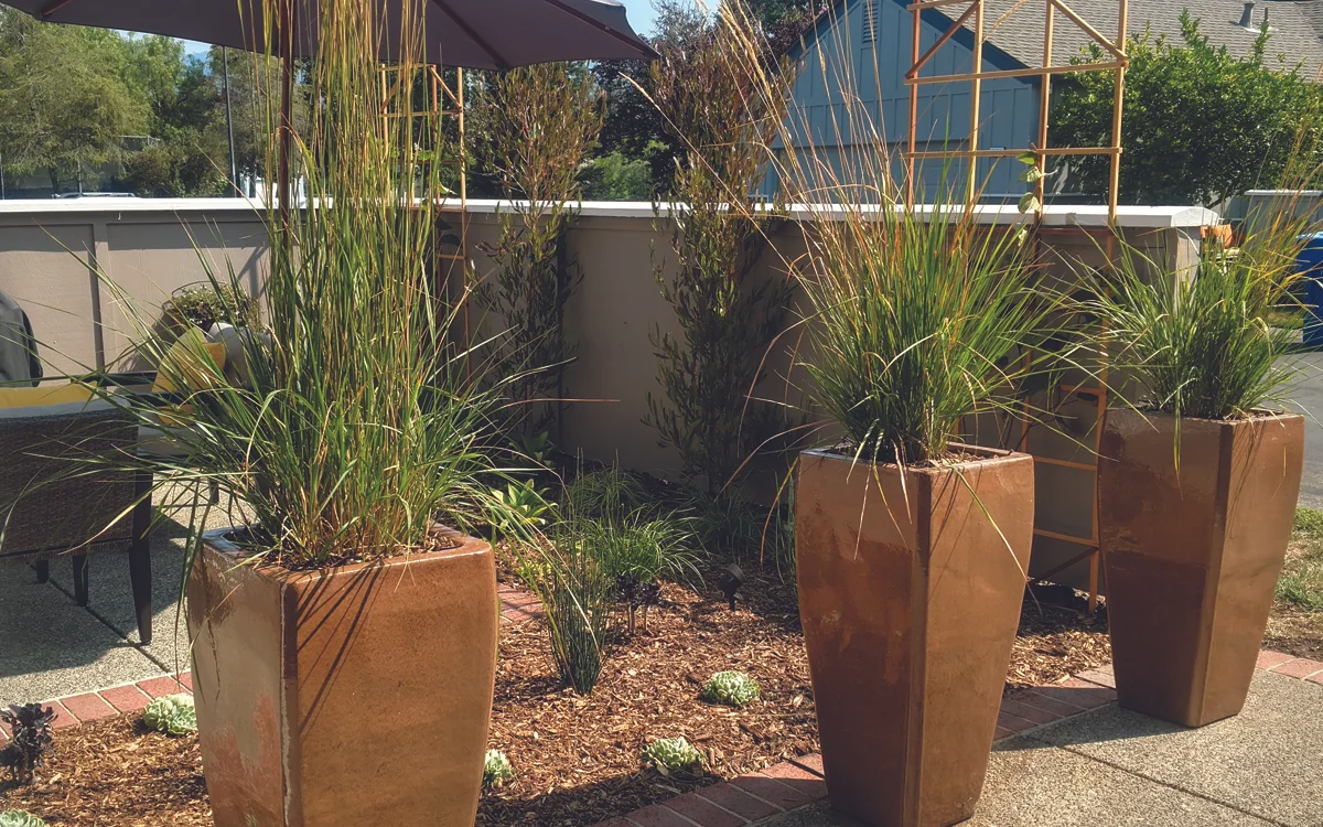 shades-of-green_succulent-grasses.jpg