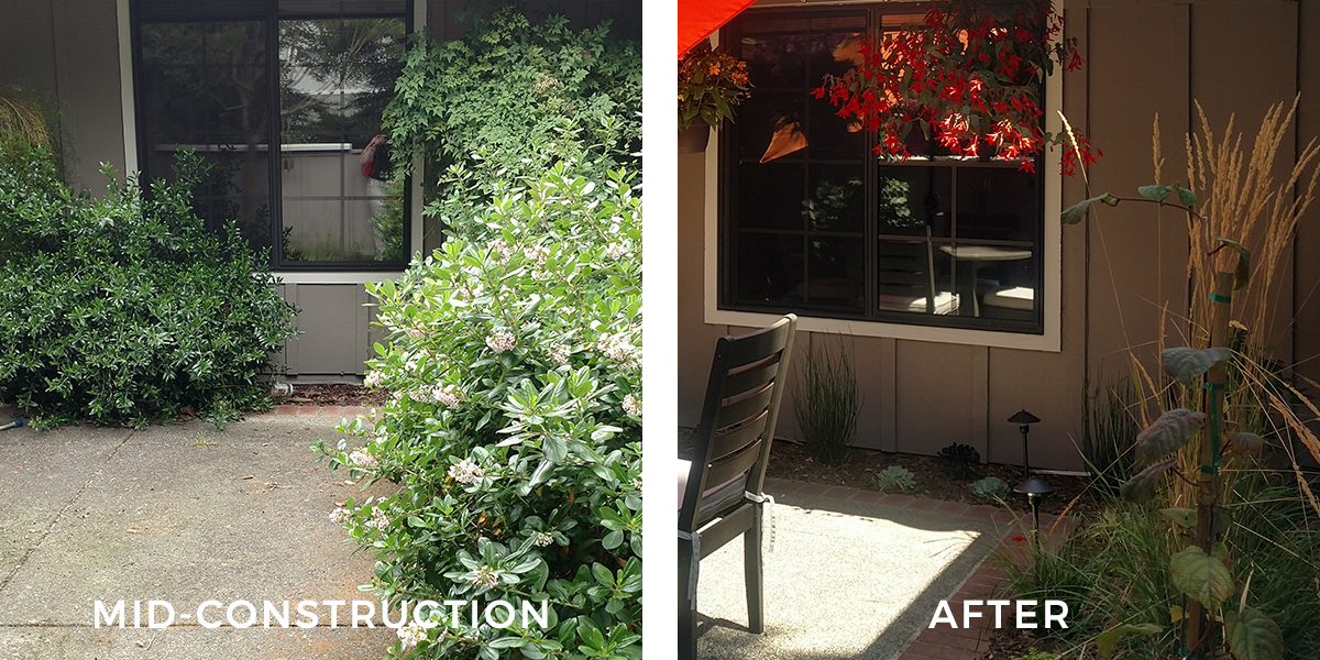 Layers Using layers of planing open the space up. The hedges that were inherited with the house not only obscured the patio but blocked the bedroom window to the right. Our homeowners now enjoy watching the tall grasses catch the breeze and the extra light that's let in.
