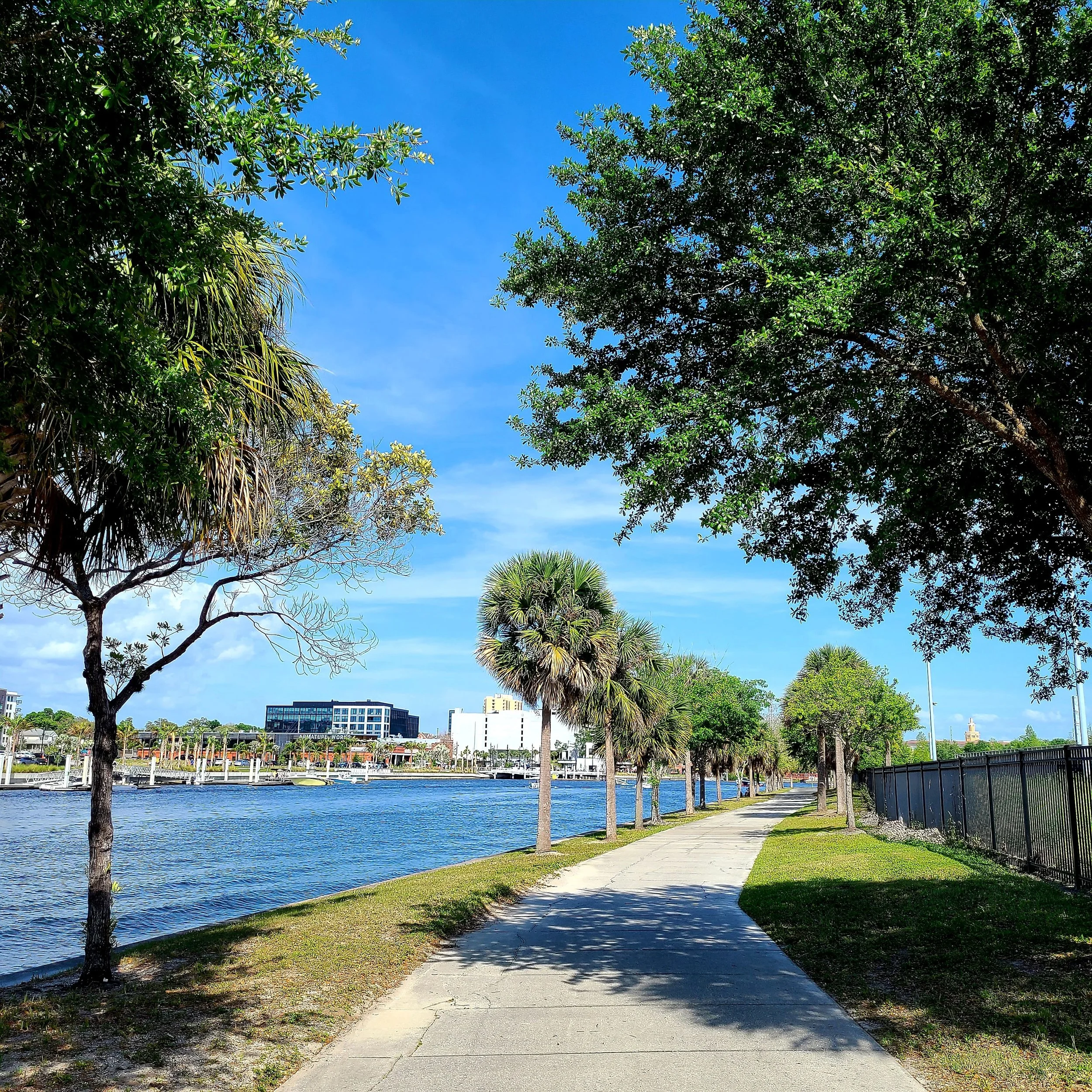 tampa neighborhoods.jpeg