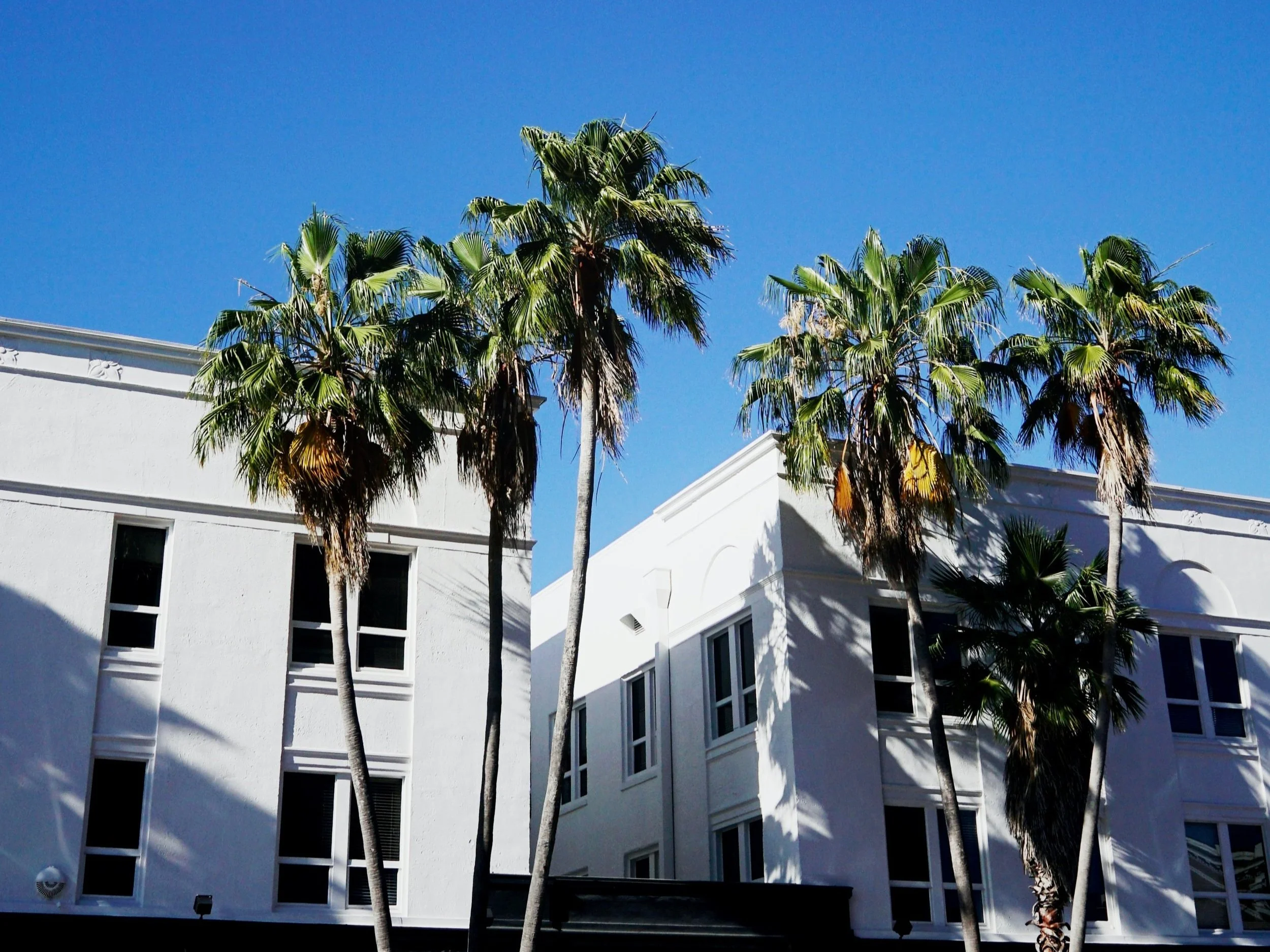 Exploring the Cost of Living in Tampa From Housing to Daily Costs