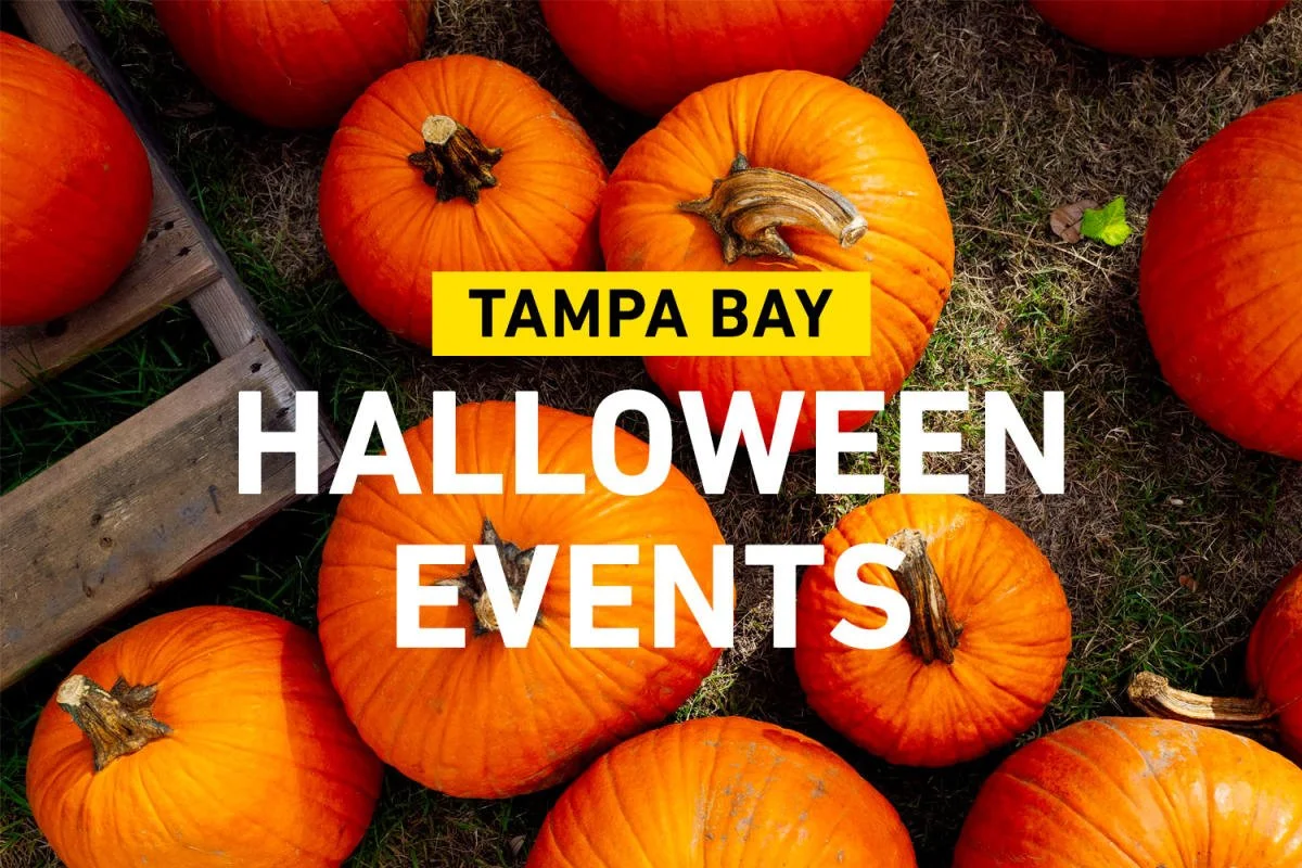 Spooktacular Halloween Events in Tampa Bay Your Ultimate Guide — Frank