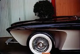 The Gaylord Gladiator