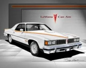 Replacing The gorgeous but slow-selling Grand am with the 1977 Pontiac Can Am - which was hot looking, but even slower selling - seems a little like swapping Catherine Zeta-Jones in a silky evening gown for Pamala sue Anderson in a tank top and cut-offs. Differnt strokes for different folks. (www. dannywhitfield .com)