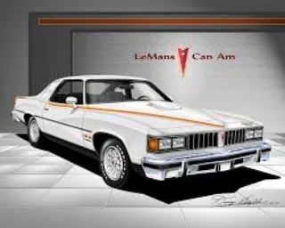 REPLACING THE GORGEOUS BUT SLOW-SELLING GRAND AM WITH THE 1977 PONTIAC CAN AM ...WHICH WAS HOT LOOKING, BUT EVEN SLOWER SELLING... SEEMS A LITTLE LIKE SWAPPING CATHERINE ZETA-JONES IN A SILKY EVENING GOWN FOR PAMALA SUE ANDERSON IN A TANK TOP. DIFFERNT STROKES FOR DIFFERENT FOLKS. ( www.DannyWhitfield.com ) (used with permission)
