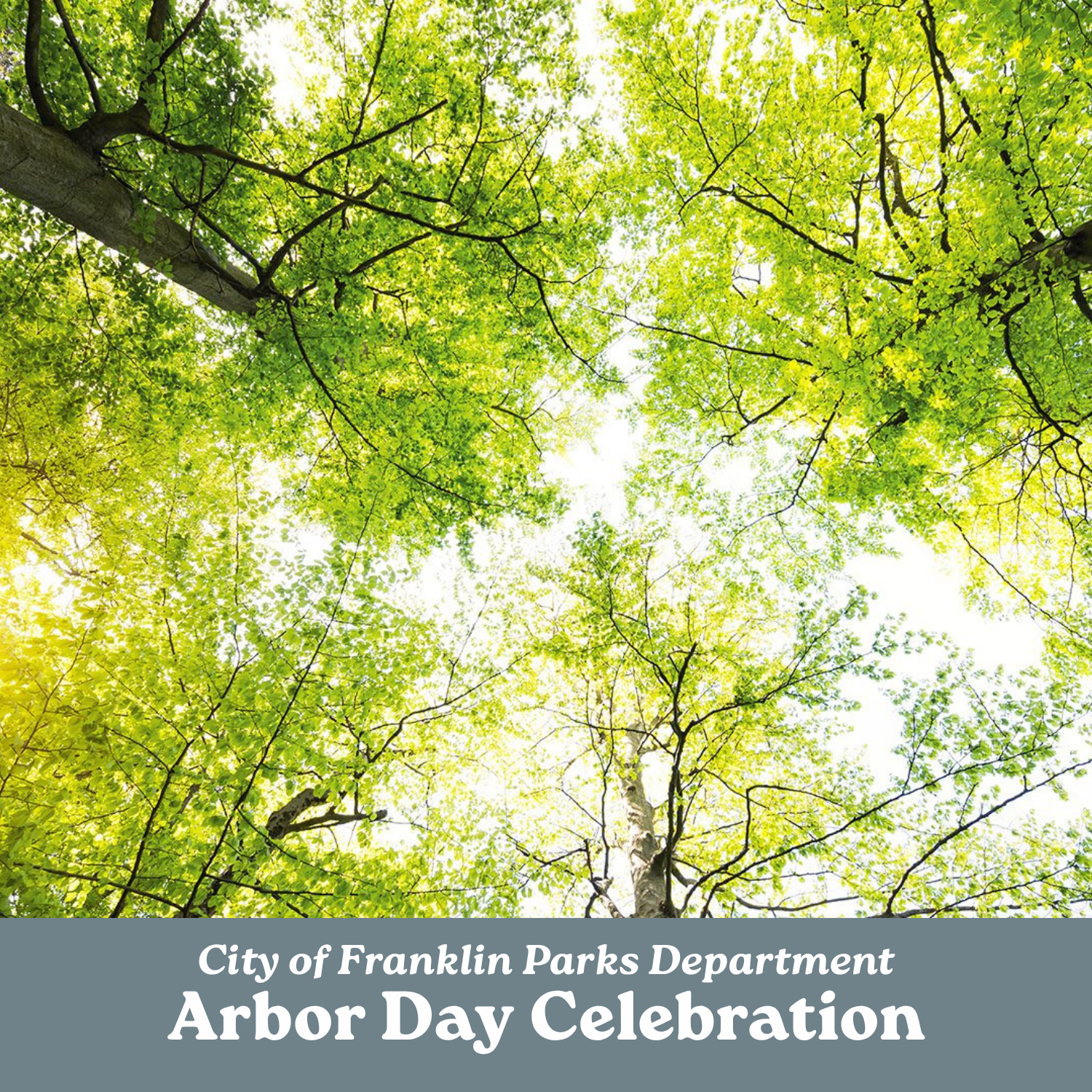Arbor Day Celebration