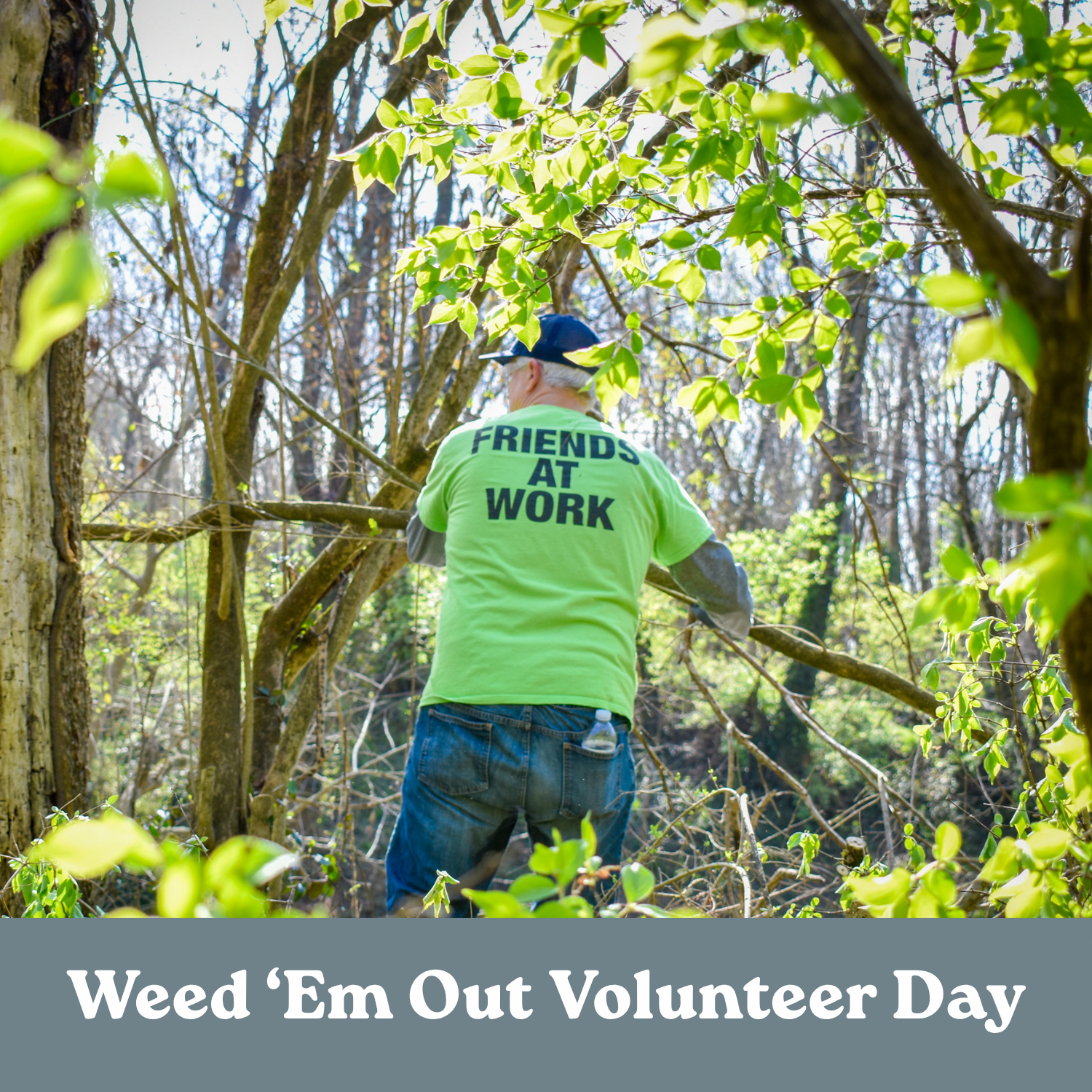 Volunteer Clean-Up Day