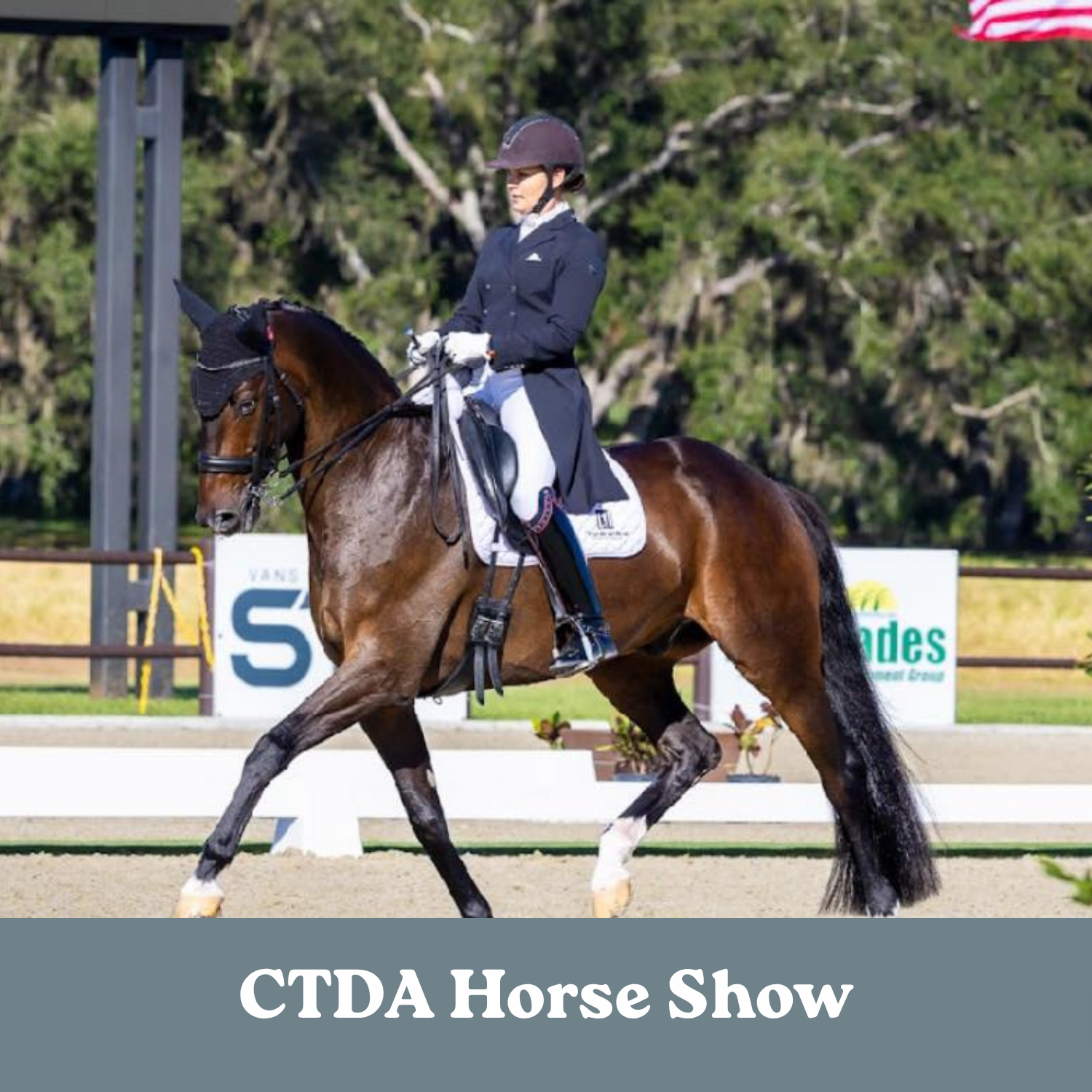 CTDA Schooling Show