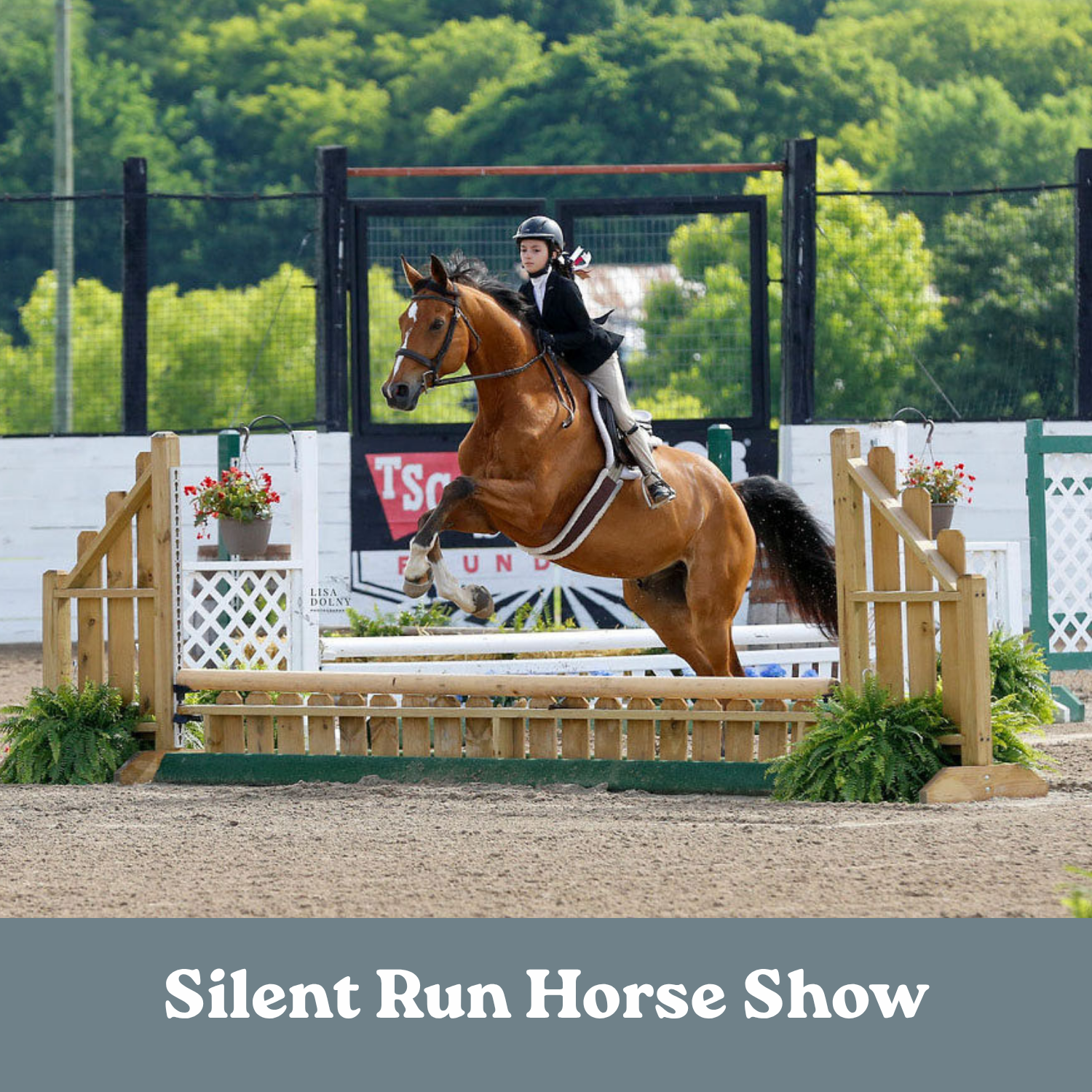 Silent Run Summer I &amp; II