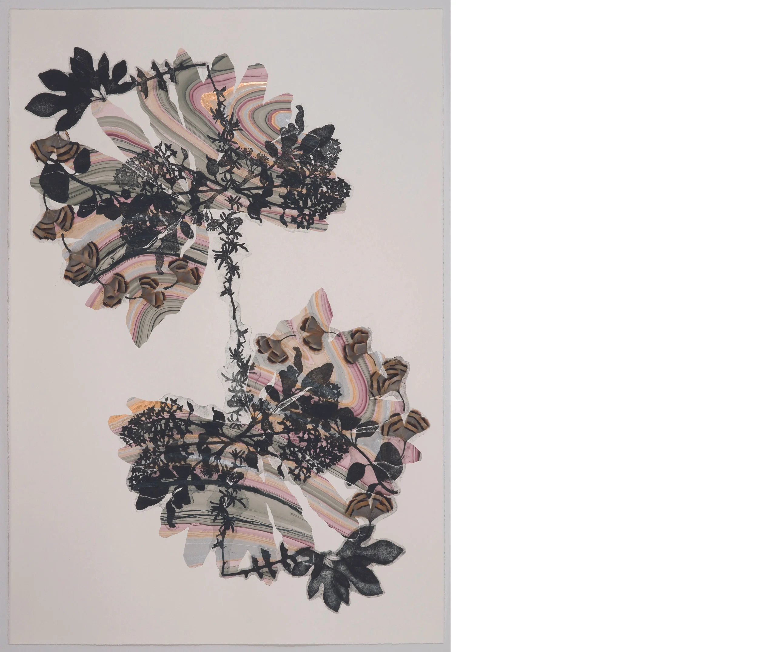 Untitled, 2010, feathers, collage and gum arabic transfer, 30 x 44 inches