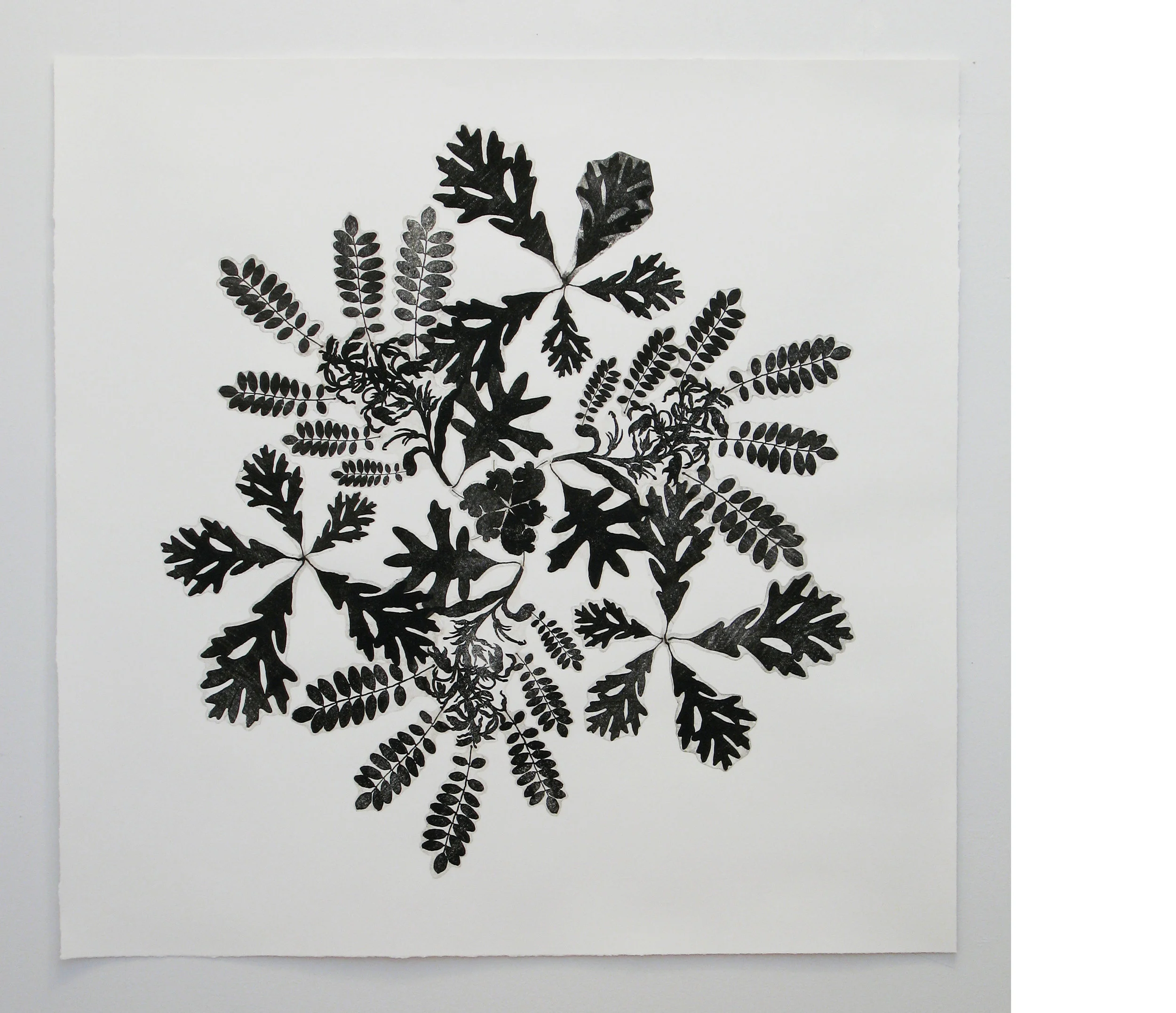 Untitled, 2009, gum arabic transfer, 44.5 x 44 inches