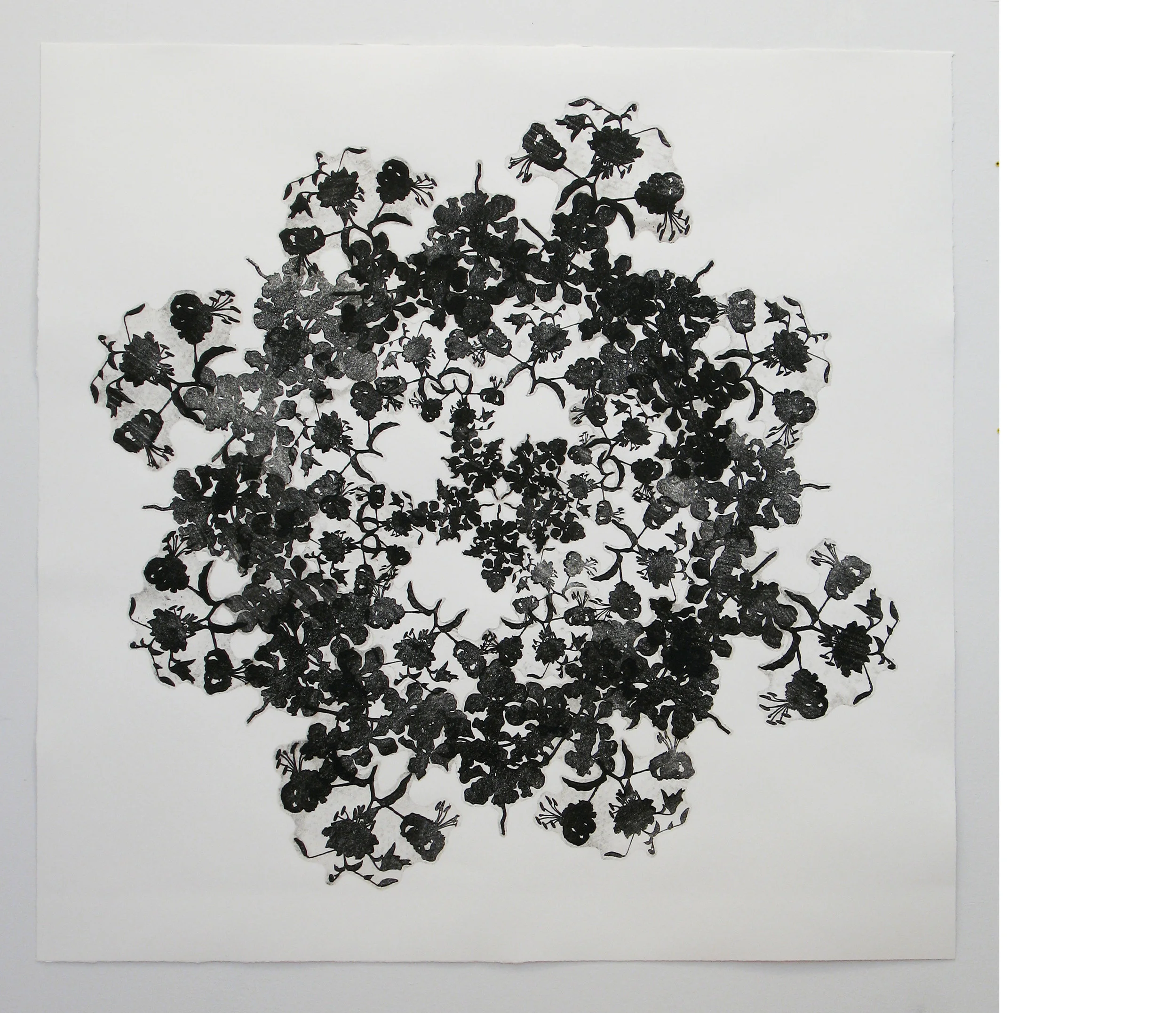 Untitled, 2009, collage with gum arabic transfer, 46.5 x 46.5 inches